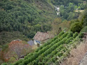 Najac - Met uitzicht op de groene vallei van de Aveyron