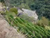 Najac - Stone houses surrounded by greenery