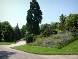 Nancy - Parc de la Pépinière et ses allées de promenade