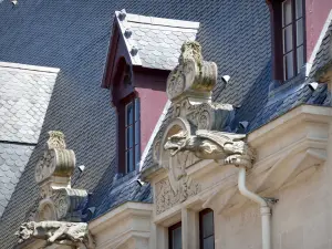 Nancy - Gargouilles du palais ducal
