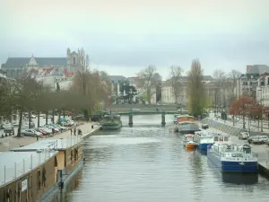 Nantes - Fluss Erdre, Frachtkähne angemacht an den Kais, Bäume, Bauten und Kathedrale Saint-Pierre-et-Saint-Paul