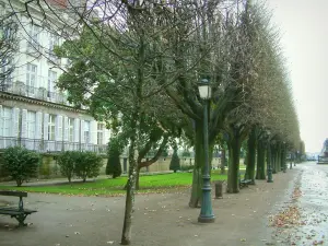 Nantes - Cours Cambronne con i suoi vicoli, i suoi alberi e lampioni