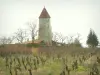 Nantes vineyards - Vineyards, tower, trees and cloudy sky