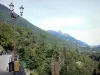 Napoléon bridge - From the bridge near a lamp post, view of the Gave de Gavarnie valley covered by trees