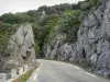 Nationaal Park van de Cevennen - Bergweg vol met rotsen en bomen in de Aigoual
