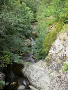 Nationaal Park van de Cevennen - Rivier, rotsen en bomen