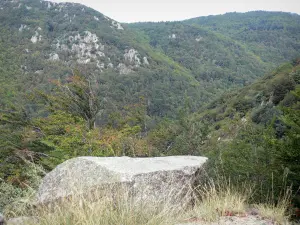 Nationaal Park van de Cevennen - Rock in voorgrond met uitzicht op de bergen omzoomd met bomen (bos)