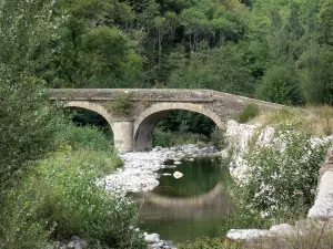 Nationaal Park van de Cevennen - Brug over een rivier, omgeven door bomen