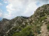 Nationaal park van de Mercantour - Natuurpark: rotsachtige heuvels en vegetatie
