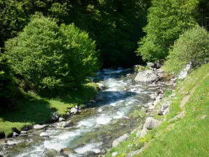 Nationaal Park van de Pyreneeën - Gaf Brousset en bomen langs het water