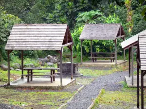 Nationale park van Guadeloupe - Carbets picknick op het platteland