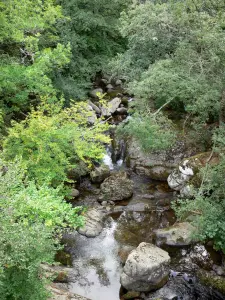 Nationalpark der Cevennen - Fluss, Felsen und Bäume