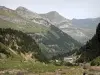 Nationalpark der Pyrenäen - Landschaft während dem Aufstieg zu dem Kessel Gavarnie: Blick auf den Gasthof des Kessels umgeben von Tannen und die Berge des Tales Gavarnie