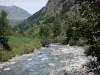 Nationalpark der Pyrenäen - Gebirgsbach gesäumt von Gestein und Bäumen, Berge überragend die Gesamtheit