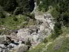 Nationalpark der Pyrenäen - Steg überspannend einen Fluss, Felsen und Tannenbäume