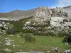 Nationalpark der Pyrenäen - Kessel Troumouse: Wiesenblumen, Wiese (Weide), Steine, Felsen und im Hintergrund Berge des Kessels