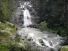 Nationalpark der Pyrenäen - Stätte der Brücke Espagne: Wasserfälle gesäumt von Tannen