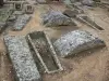 Nécropole mérovingienne de Civaux - Cimetière mérovingien : sarcophages (vestiges mérovingiens)