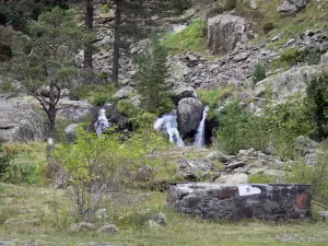 Néouvielle massif - Néouvielle Nature Reserve: small waterfall surrounded by trees and vegetation