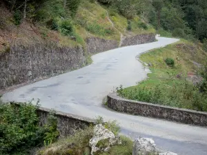 Néouvielle Massiv - Naturschutzgebiet Néouvielle: Strasse und Bodenbewuchs