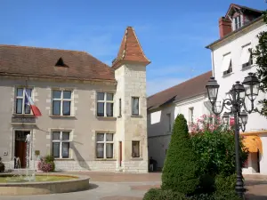 Nérac - Façade de l'hôtel de ville (mairie), bassin, lampadaire et arbustes