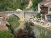 Nérac - Old bridge spanning the Baïse river, trees and houses of the old Nérac medieval town
