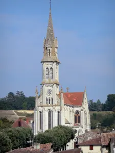 Nérac - Notre Dame Church, alberi e sui tetti della medievale