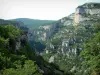 Nesque gorges - Wild canyon with cliffs, rock faces, trees and forests