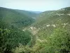 Nesque gorges - Hills covered with forests