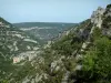 Nesque gorges - Trees, rock and cliffs of the canyon