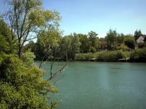 Neuilly-sur-Marne - Bäume am Wasser