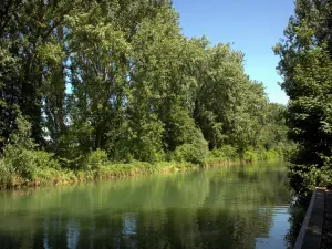 Neuilly-sur-Marne - Bäume am Wasser