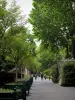 Neuilly op Seine - Met bomen omzoomde stoep