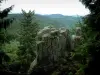 Neuntelstein - La parte superiore della roccia, che domina gli alberi e le colline coperte di foreste