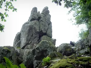 Neuntelstein - Rock peak and trees by rainy weather