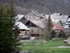 Névache - Maisons du village et arbres ; dans la vallée de la Clarée