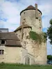 Nevers - Goguin tower