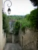 Nevers - Stairway, wall lantern, walls, wisteria and roofs of houses 