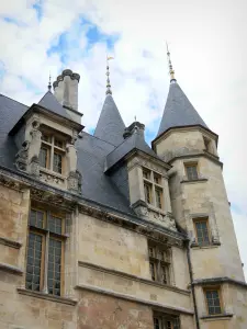 Nevers - Detail of the facade of the Ducal palace (former residence of the Counts and Dukes of Nevers)
