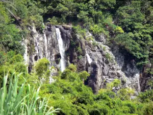 Niagara waterfall - View of the waterfall surrounded by greenery