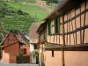 Niedermorschwihr - Weinberge, die die farbigen Fachwerkhäuser des Dorfes dominieren