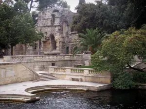 Nîmes - Jardin de la Fontaine (parc) : bassin de la source, arbres et temple de Diane