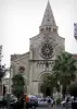 Nîmes - Iglesia de St. Paul y palmeras