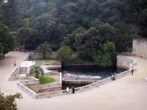 Nîmes - Jardin de la Fontaine : vue sur le bassin de la source