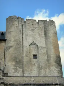 Niort - Square tower of the Romanesque keep