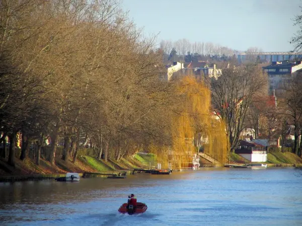 Nogent-sur-Marne - Trees along the Marne river