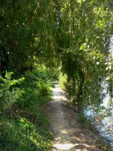 Nogent-sur-Marne - Path along the Marne river