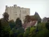 Nogent-le-Rotrou - Keep of the Saint-Jean castle, roofs of houses and trees; in Perche