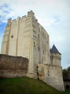 Nogent-le-Rotrou - Bergfried und runder Turm des Schlosses Saint-Jean