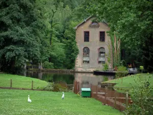 Noordelijke Vogezen  - Huis op een vijver en bomen (Regionaal Natuurpark Noordelijke Vogezen )